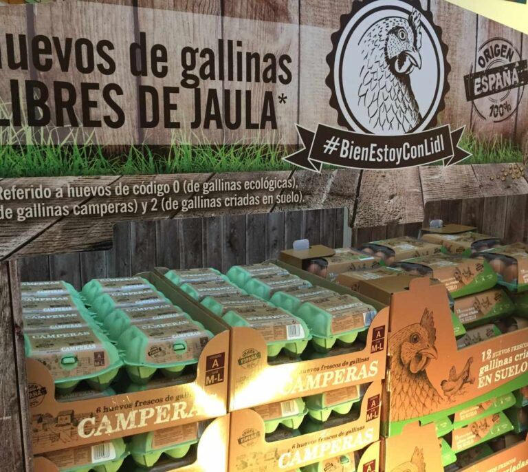 Lidl, primera cadena de supermercados que deja de vender huevos de gallinas enjauladas