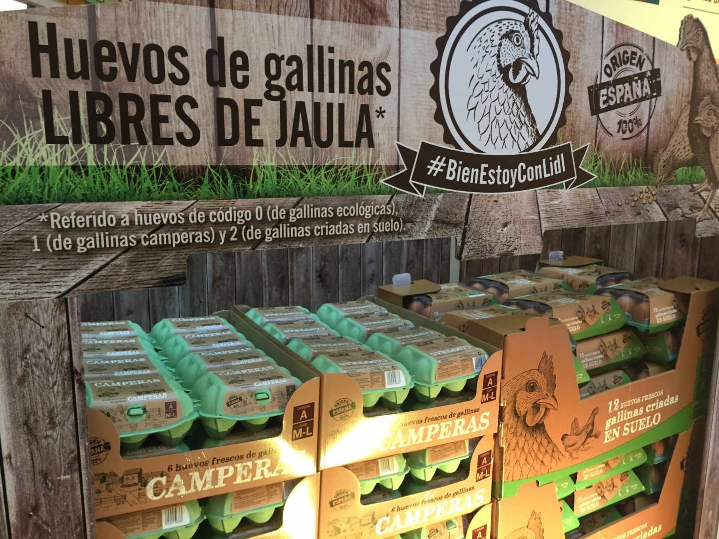 Lidl, primer distribuidor nacional en dejar de vender gallinas criadas en jaula