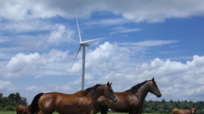 Parque eólico de Amazon gestionado por Iberdrola.