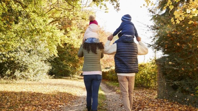 familia Los motivos de los españoles para no tener hijos, según el Barómetro de la Familia de The Family Watch.
