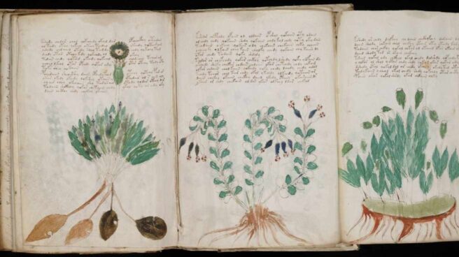 Descifran con inteligencia artificial un enigmático manuscrito del siglo XV