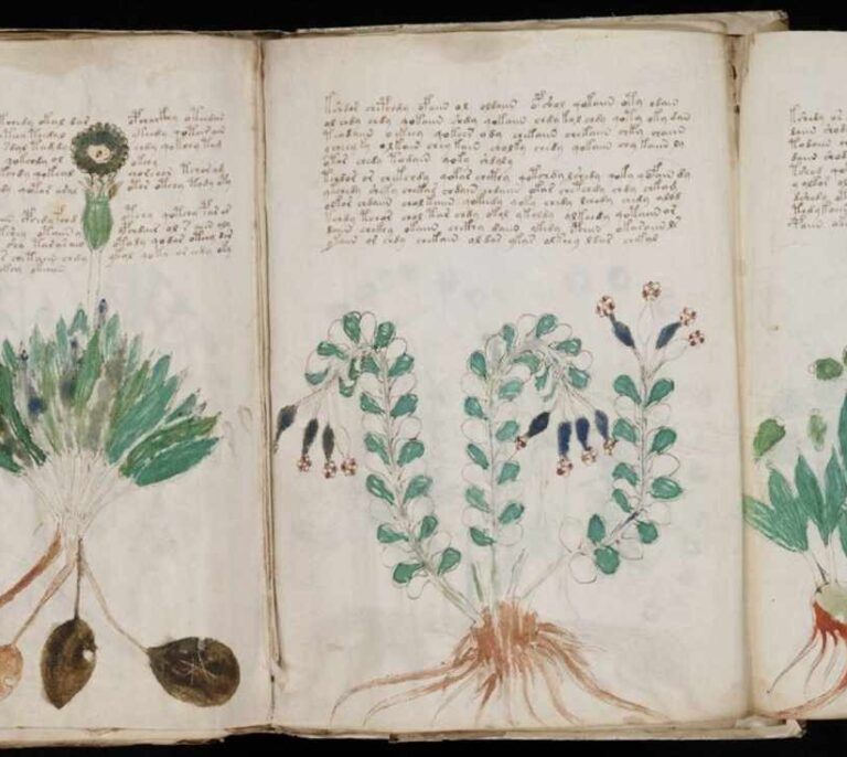Descifran con inteligencia artificial un enigmático manuscrito del siglo XV