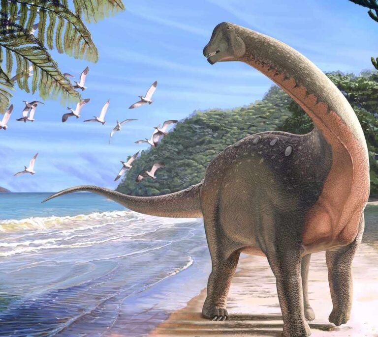 Un nuevo dinosaurio egipcio resuelve el misterio de su evolución en África