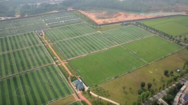 Conquista extranjera y formación local: el plan del comunismo chino para ganar el Mundial de fútbol
