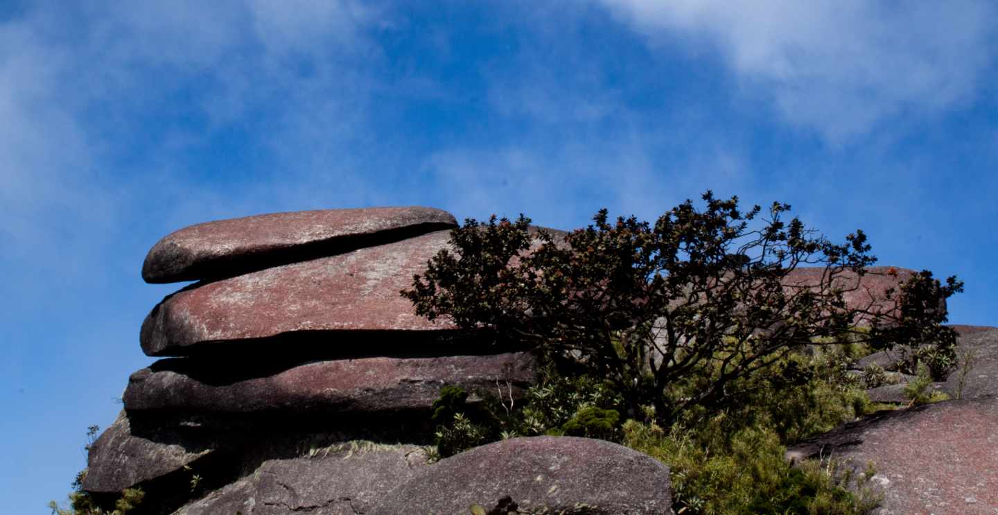 Los Platos del Diablo, el pico de las montañas de Ávila (Venezuela) que da nombre a la hamburguesa más vendida de Avi Burger.