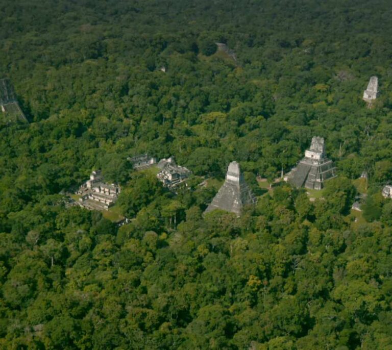 El secreto de los Mayas, al descubierto