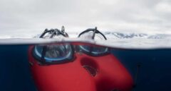 Descender al fondo del océano Antártico, el sueño hecho realidad de una científica
