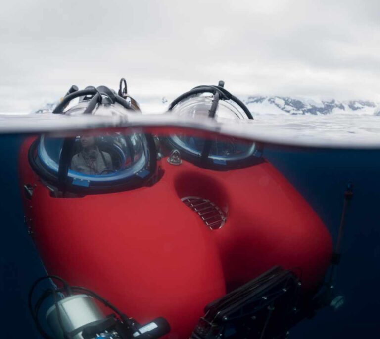 Descender al fondo del océano Antártico, el sueño hecho realidad de una científica