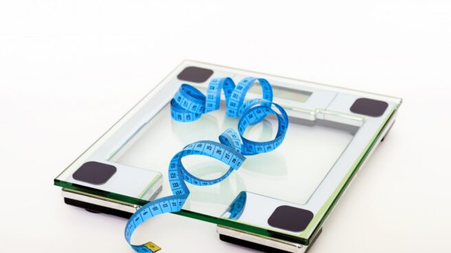 Científicos descubren la proteína responsable del efecto rebote de las dietas.