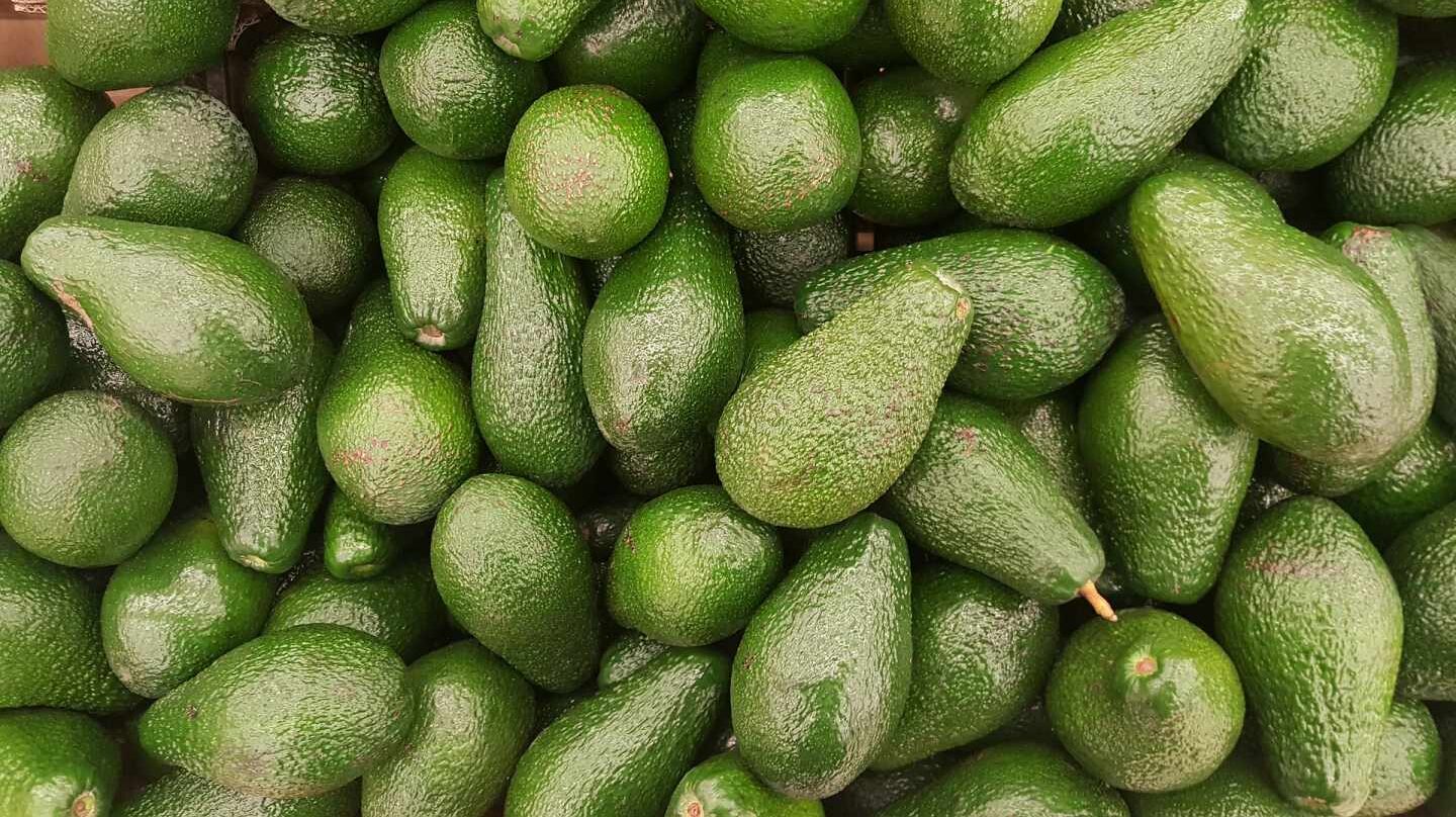 El aguacate: bueno para la salud, malo para el planeta