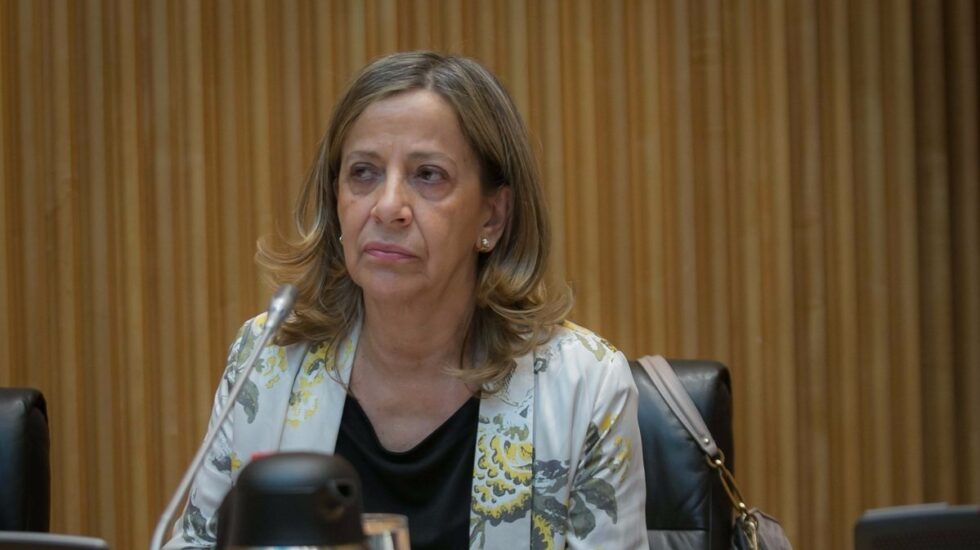 Carmen Navarro, tesorera del PP.