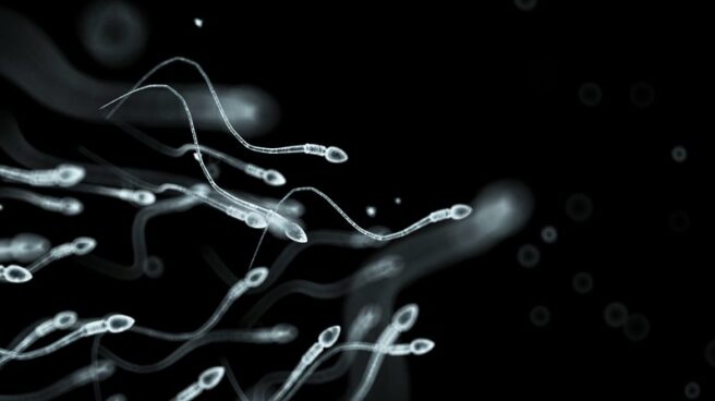 Espermatozoides Espermatozoides inhabilitados con la píldora anticonceptiva masculina