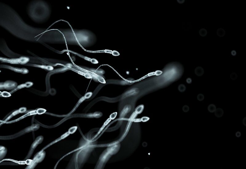 Espermatozoides inhabilitados con la píldora anticonceptiva masculina