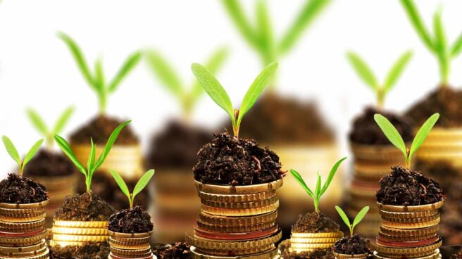 inversion_verde La inversión en base a criterios sostenibles ha ganado un peso notable en los últimos años.