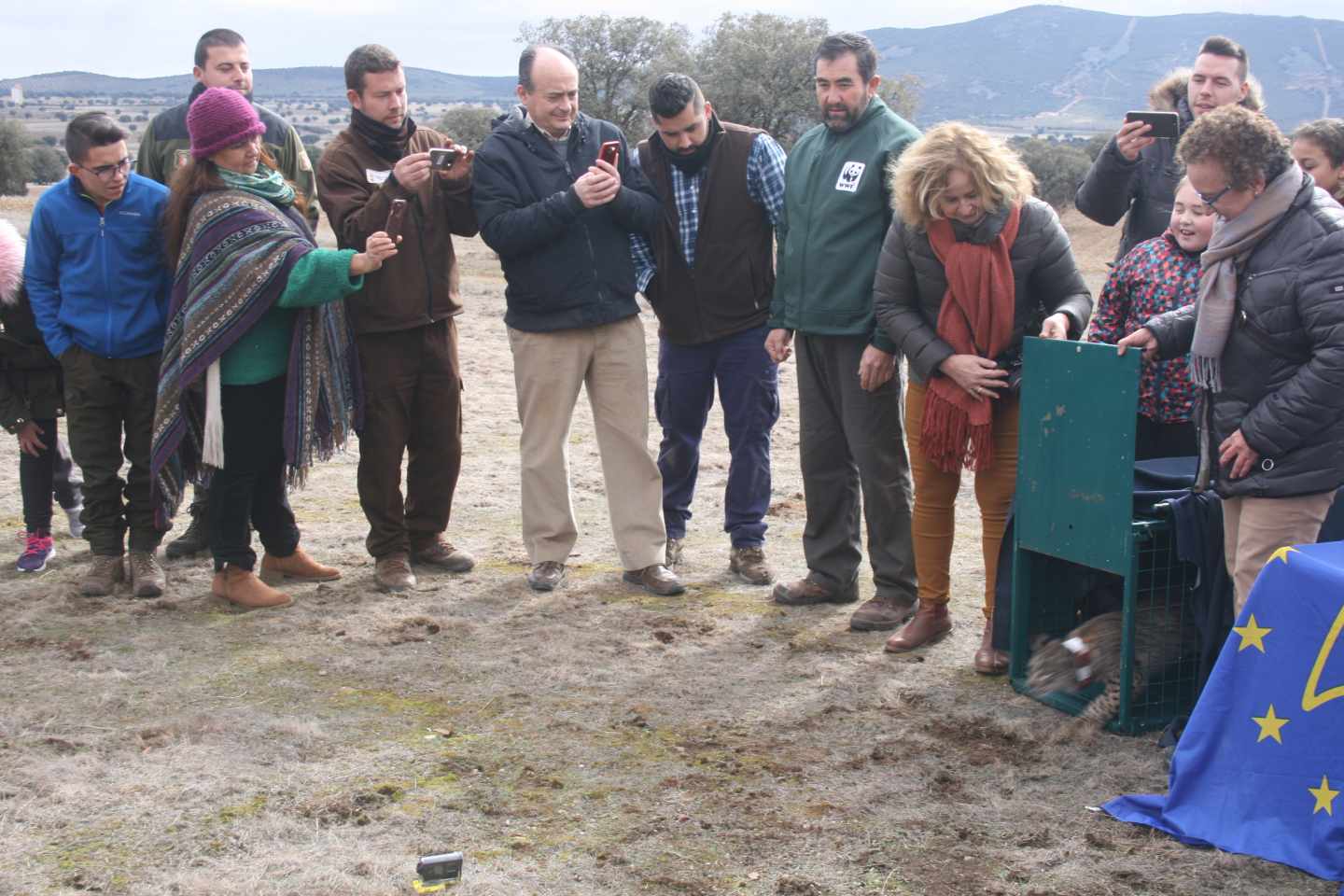 Sueltan en la finca Las Ensanchas dos linces criados en cautividad