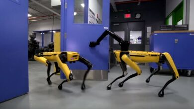 Los perros-robot de Boston Dynamics han aprendido a coordinarse y abrir puertas