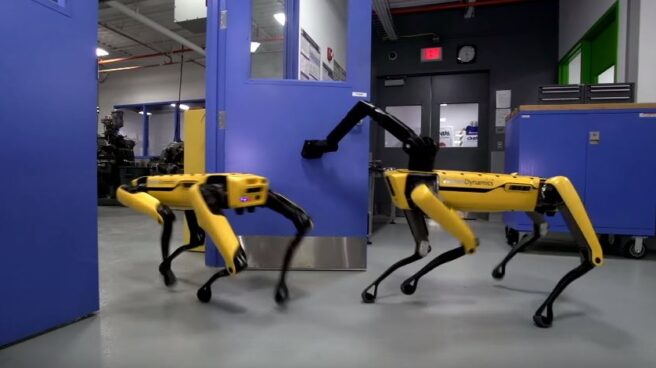 Dos ejemplares del robot SpotMini se coordinan para abrir una puerta y escapar de una sala cerrada.