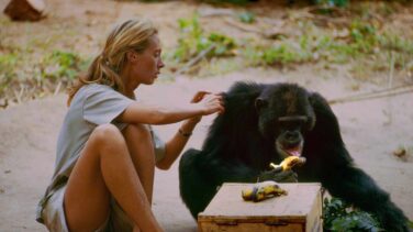 Jane Goodall, la mona blanca