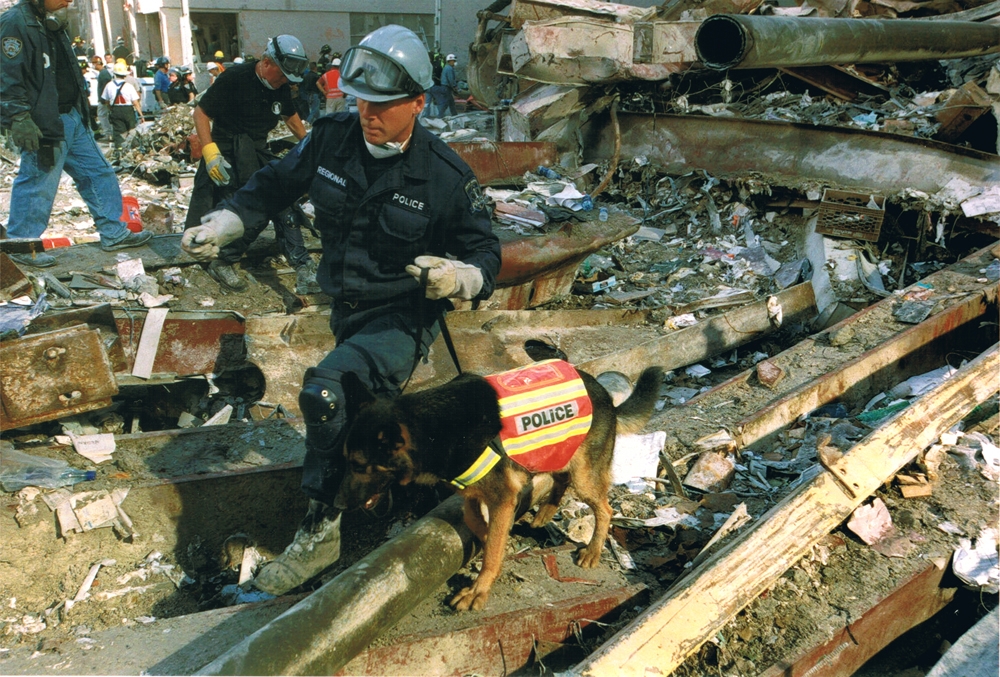 Trakr, un perro héroe del 11S, fue clonado. 