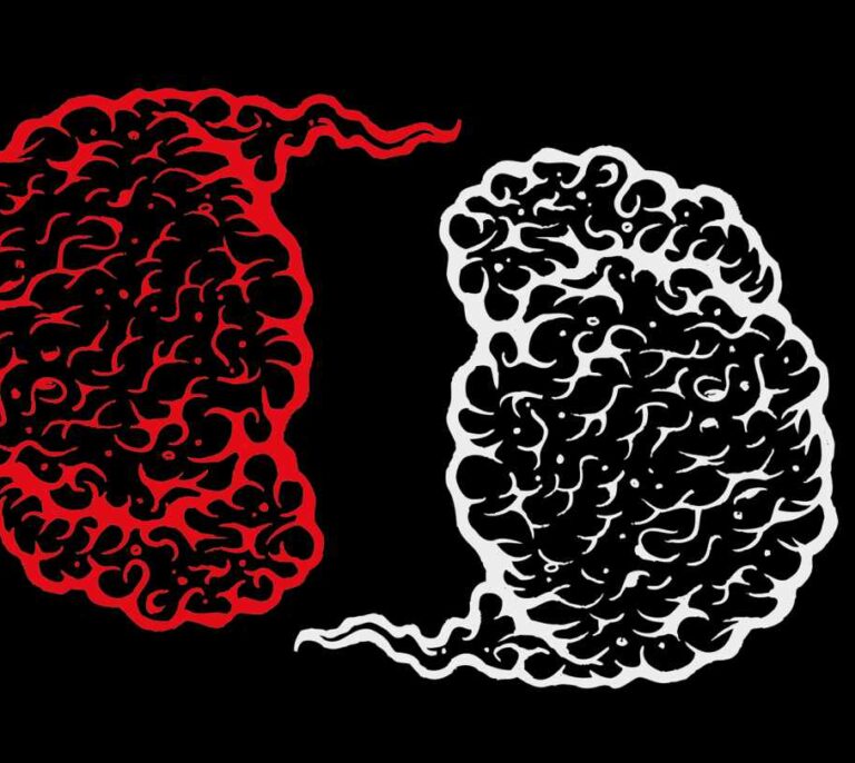 ¿Tienen género nuestros cerebros?