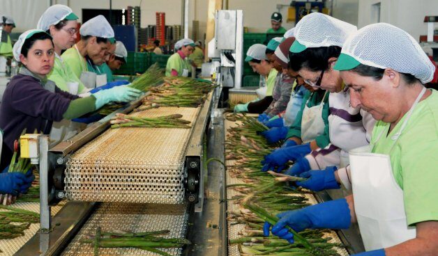 mujeres_trabajando La brecha salarial de género en España es inferior a la media europea.