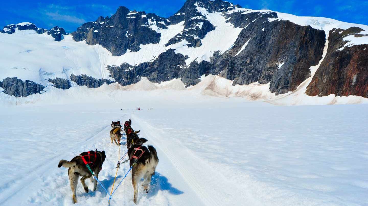 Un trineo tirado por perros.