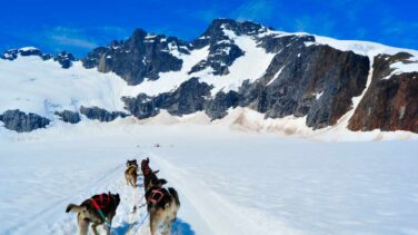 Iditarod: una aventura épica amenazada por la polémica animalista
