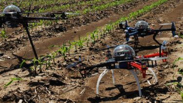 Agricultura 4.0: cosechas abonadas con ciencia y tecnología