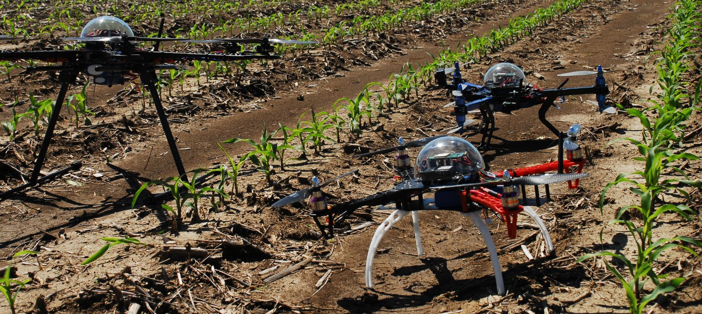 Agricultura 4.0: cosechas abonadas con ciencia y tecnología