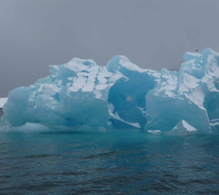 Los Polos, una llamada de auxilio global