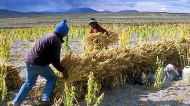 La X solidaria de las empresas