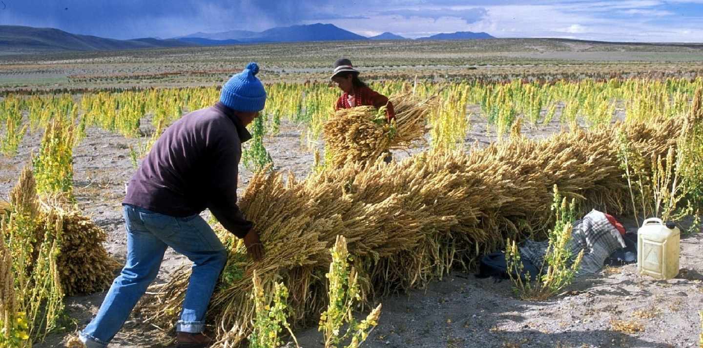 Campaña "Si cuidas el planeta, combates la pobreza"