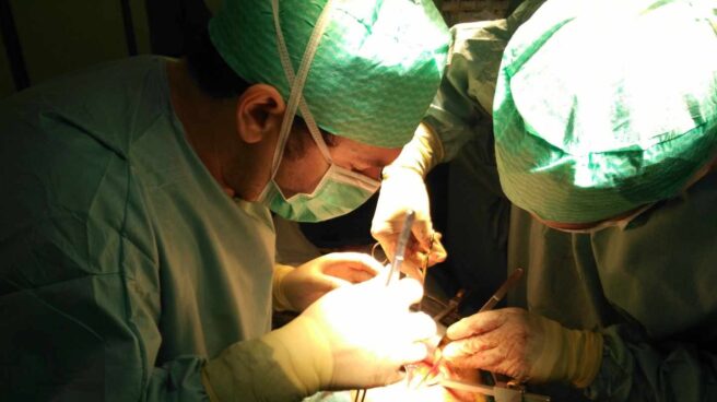 TRASPLANTE RENAL Los trasplantes renales de vivo alcanzarán un nuevo hito este año con los trasplantes cruzados internacionales.