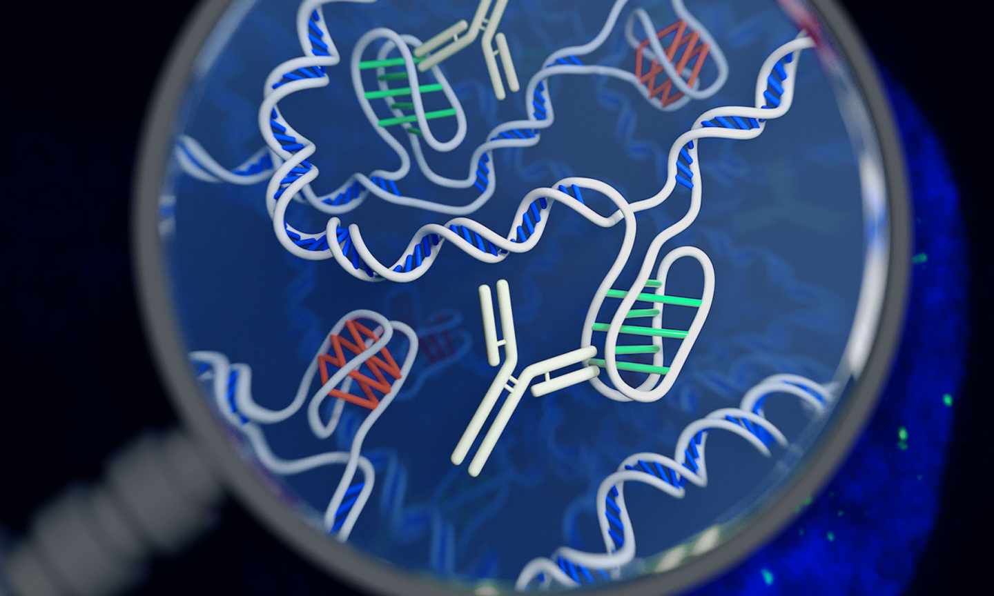 Nuevas formas de ADN