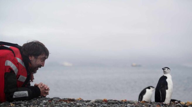 Los Bardem presentarán "Santuario", un documental sobre el Antártico