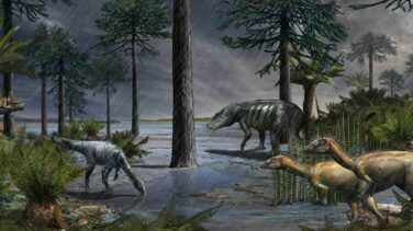Los dinosaurios aparecieron 'de golpe', tras una época de lluvias