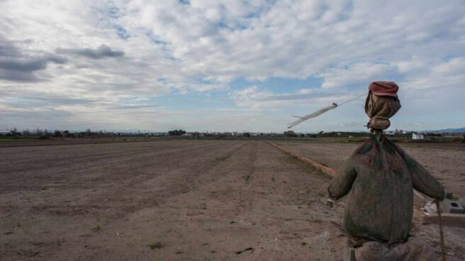 Bancos de tierras, una solución frente al abandono de suelo agrícola