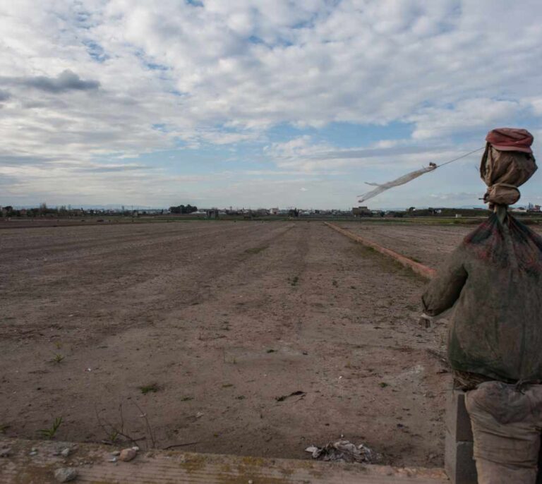 Bancos de tierras, una solución frente al abandono de suelo agrícola