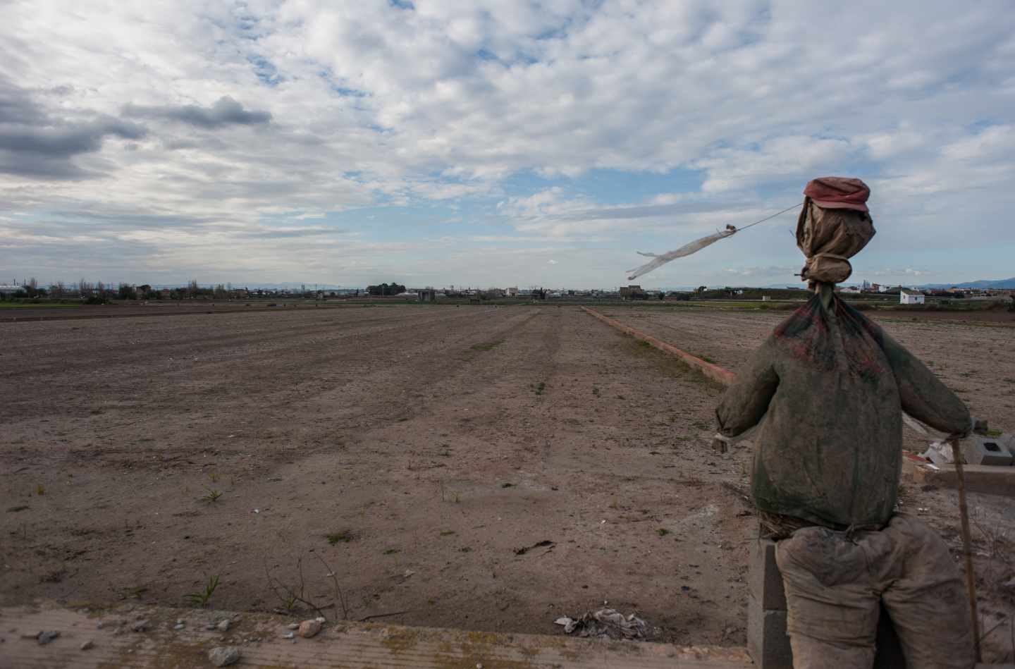 Bancos de tierras, una solución frente al abandono de suelo agrícola