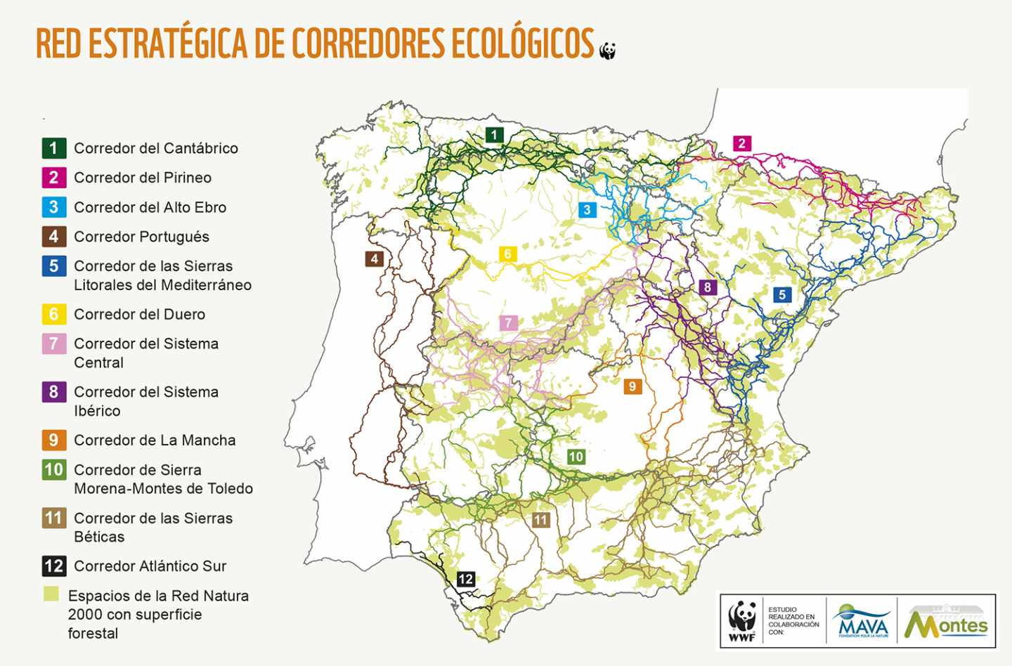 Mapa de corredores de WWF.