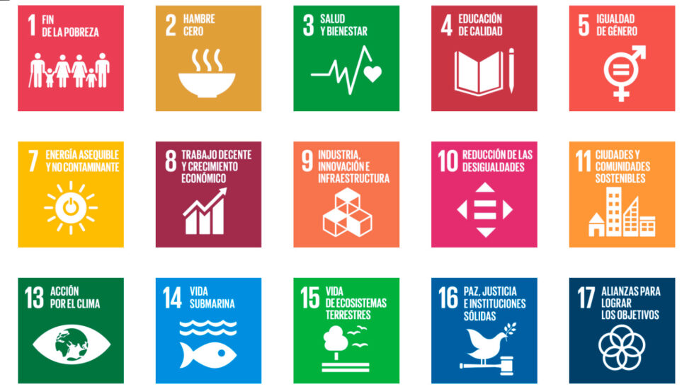 🌍 ¿Qué son los Objetivos de Desarrollo Sostenible?