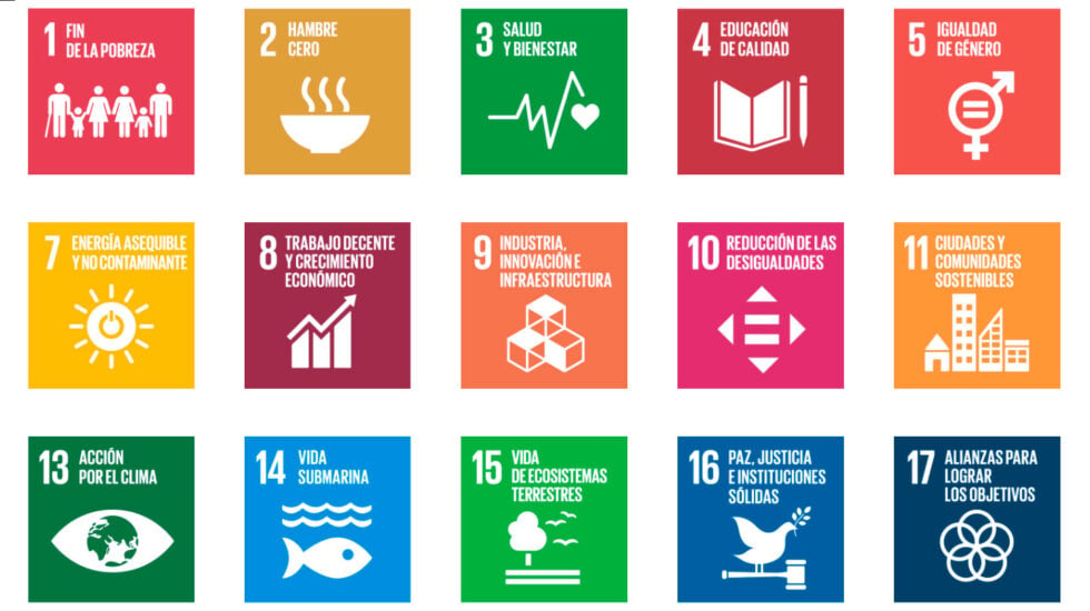 🌍 ¿Qué son los Objetivos de Desarrollo Sostenible?