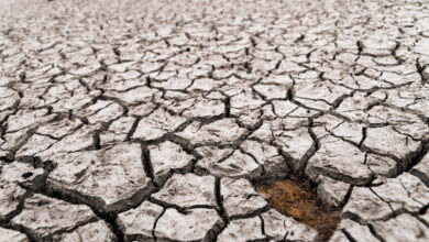 Agua en la España seca: cara en Cataluña, escasa en Andalucía y muy consumida en Cantabria