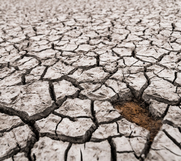 El cambio climático no puede ser la nueva normalidad