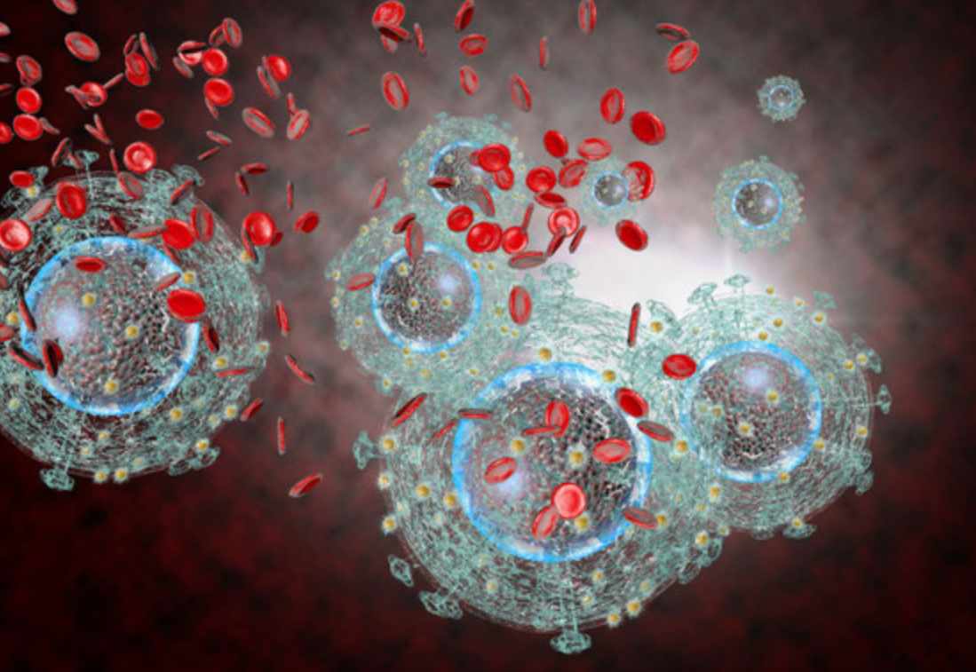 El VIH daña el sistema inmunitario mediante la destrucción de los glóbulos blancos que combaten las infecciones.