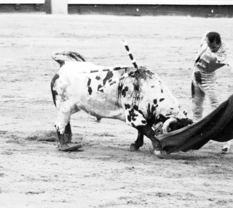 La tarde perfecta de San Isidro