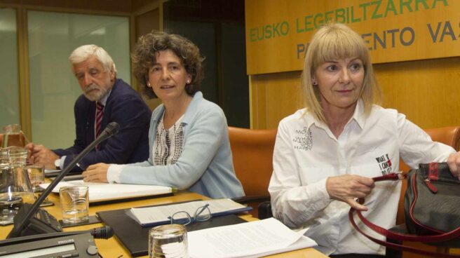 La ex miembro de ETA, Carmen Gisasola, durante su comparecencia en el Parlamento Vasco.