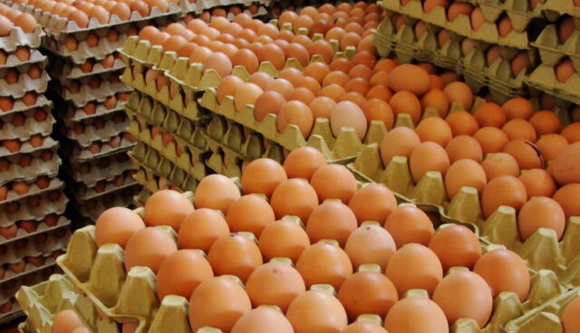 ¿Por qué se guardan los huevos en la nevera si en el supermercado están fuera?