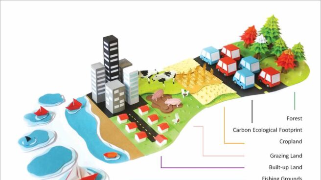 Cómo medir tu huella ecológica y aprender a reducirla