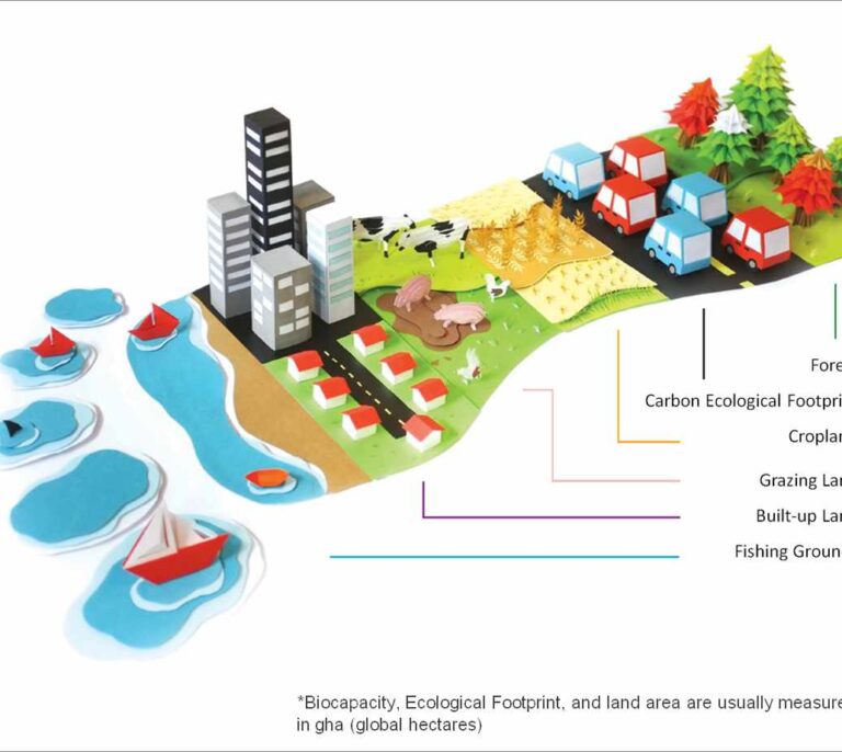 Cómo medir tu huella ecológica y aprender a reducirla